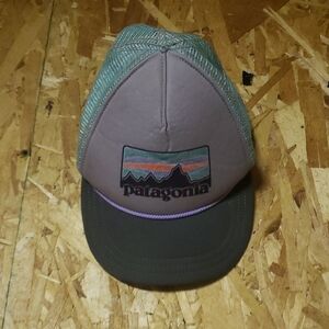 Patagonia Gray and Green Trucker Hat with Mountain Design